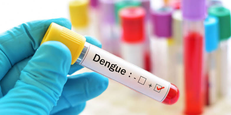 dengue 3.jpg
